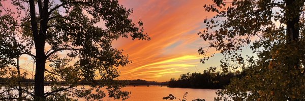 robousta Profile Banner