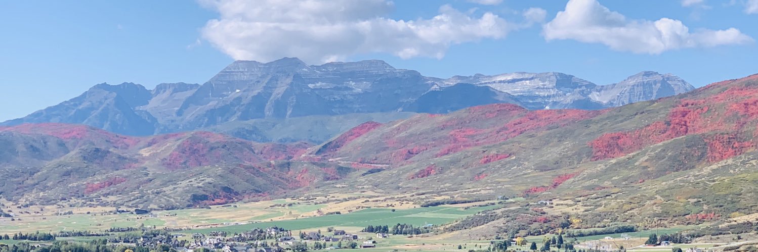 arieger1's profile banner image