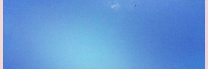 mandyandrade_'s profile banner image