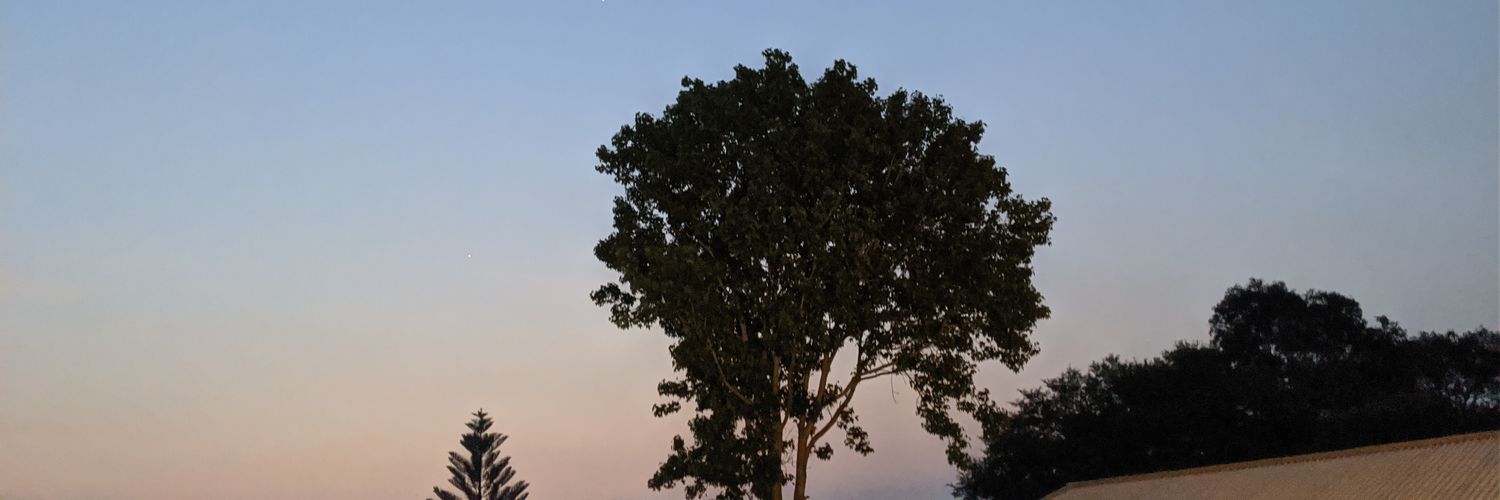 mascooladosu's profile banner image