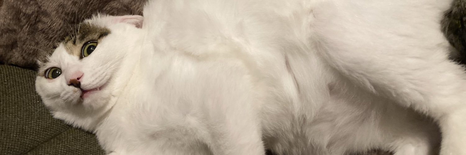 1016mame's profile banner image