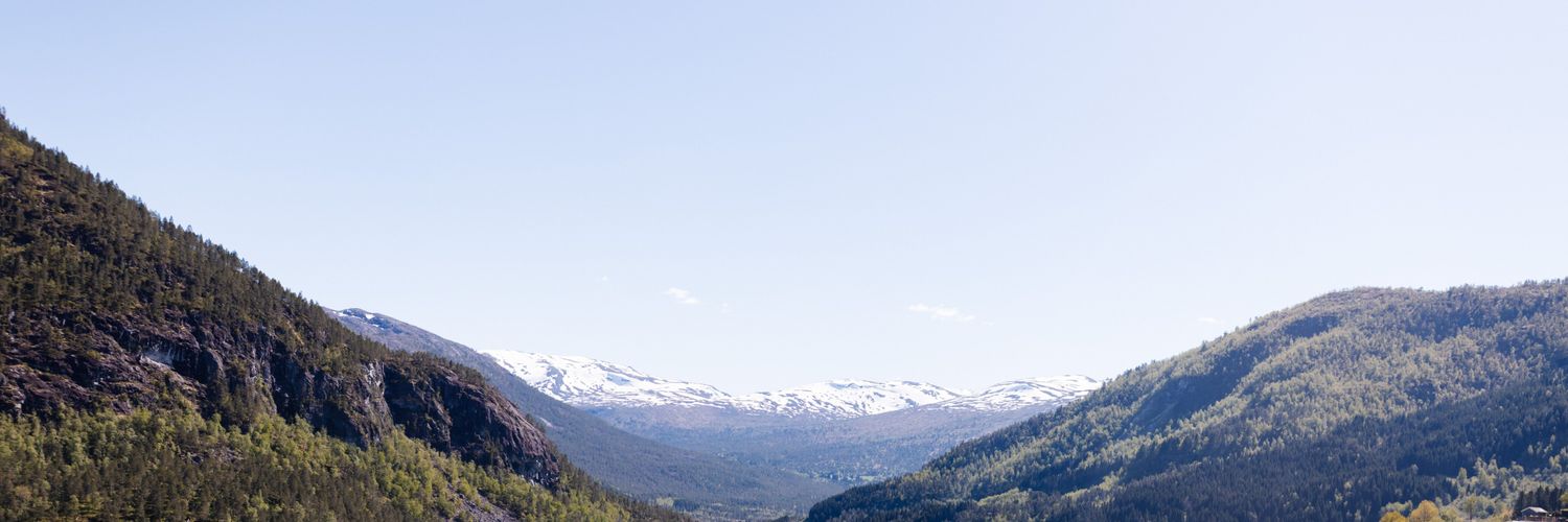 Mitrova_M's profile banner image