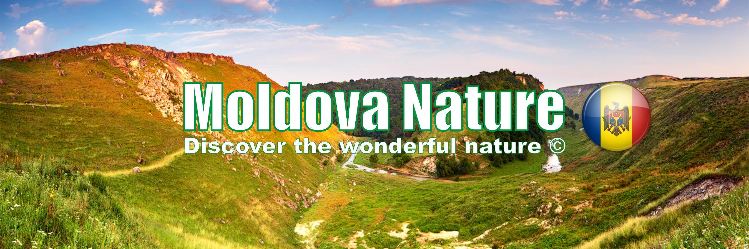 MoldovaNature's profile banner image