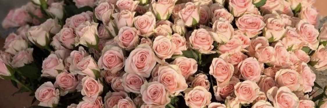 saz_254's profile banner image