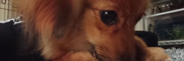 hamaken89123's profile banner image