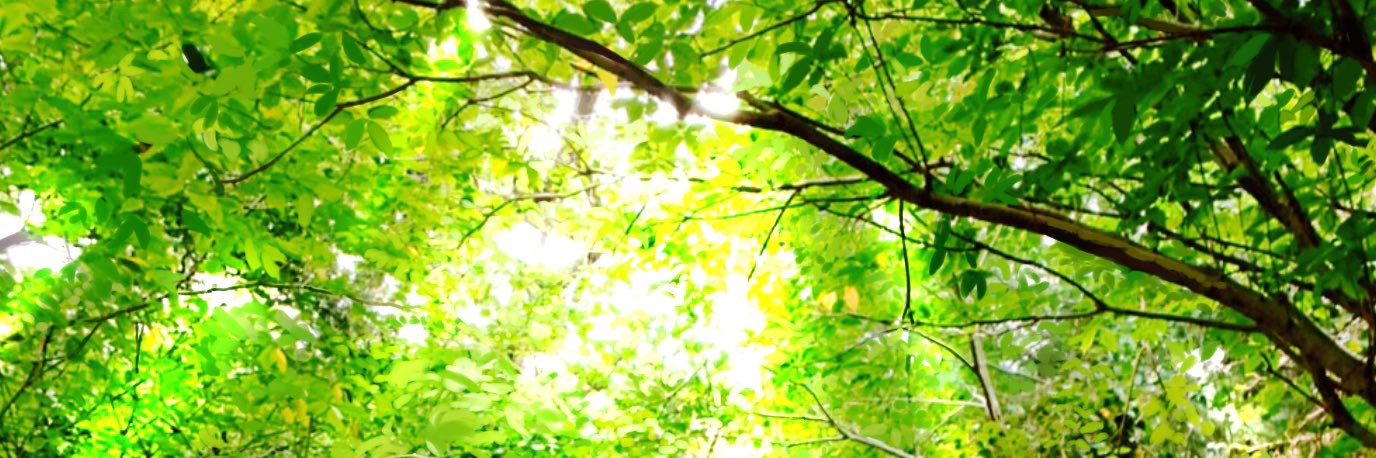 sono_yoru's profile banner image