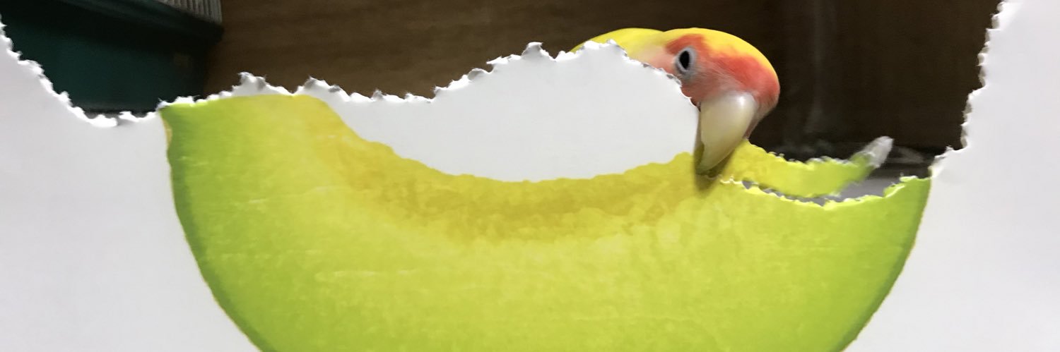 yokchan802's profile banner image