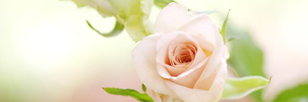 zilldaa_'s profile banner image