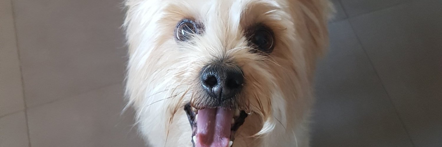 BiitaY_'s profile banner image