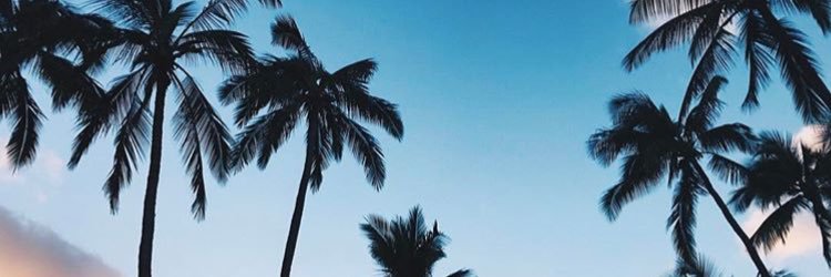 3jsblovej's profile banner image