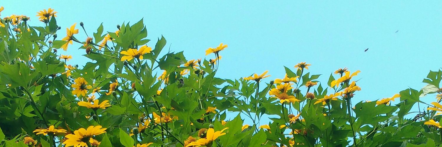 Biast00's profile banner image