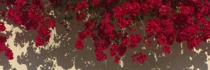 JuanesIsa's profile banner image