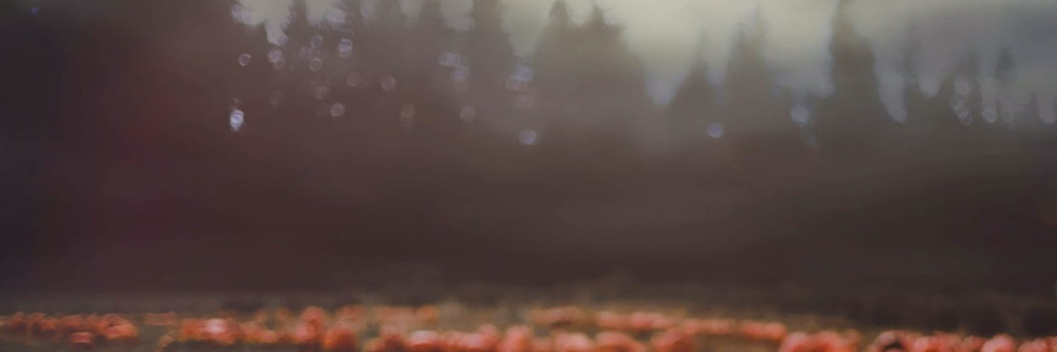 Pellz2Mike's profile banner image