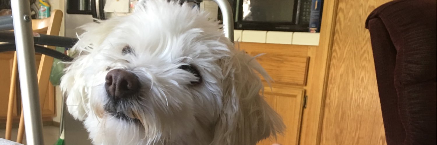 tpstim's profile banner image