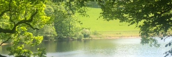 北路久御子 Kumiko Kitamichi banner