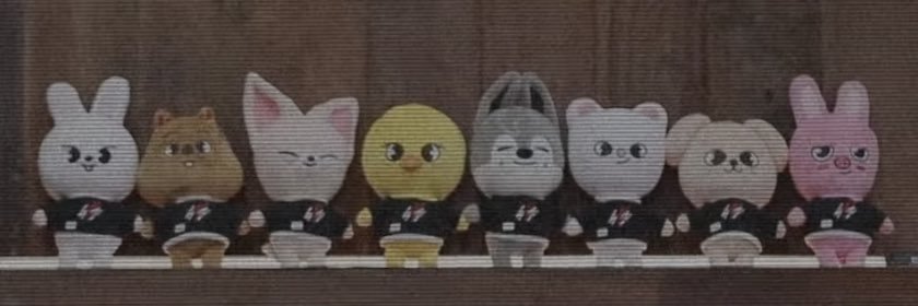 foxiny__in's profile banner image