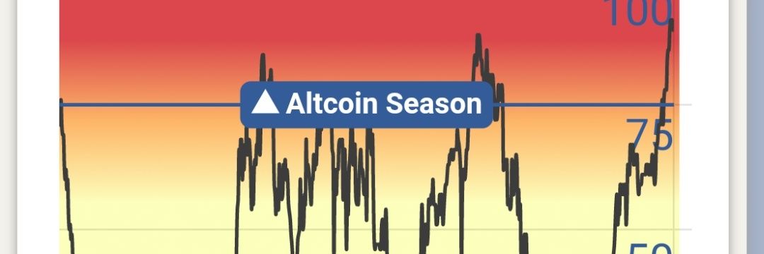 crypto__shrimp's profile banner image
