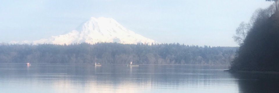 MoHarp92's profile banner image