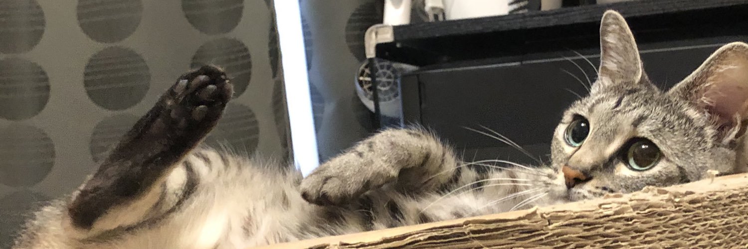 🌹ドMさん🌹 banner