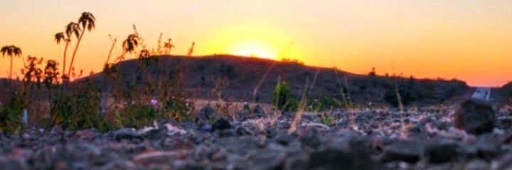 ankittx's profile banner image