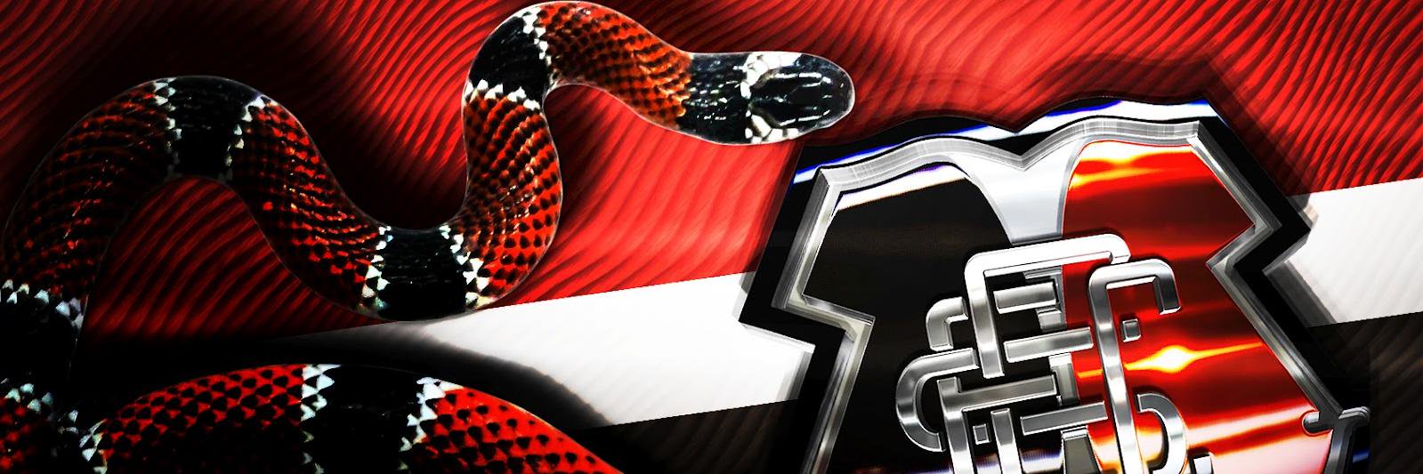 adrianoscfc's profile banner image