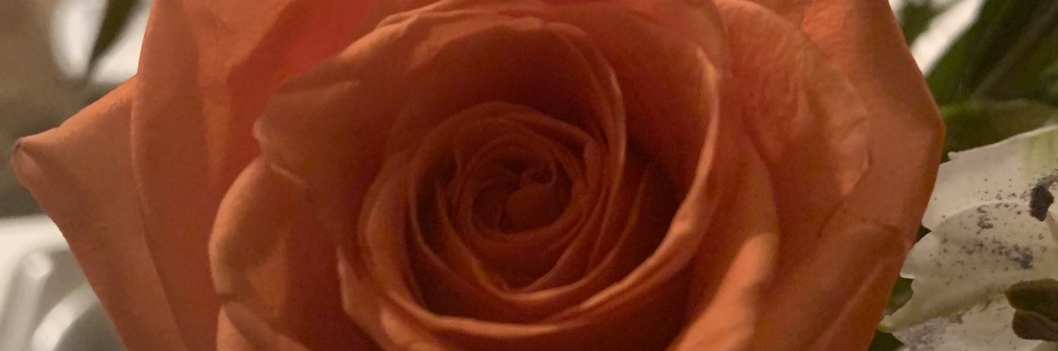 JasmineDenise's profile banner image