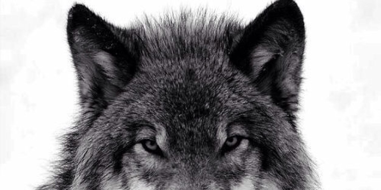 wira_ash's profile banner image