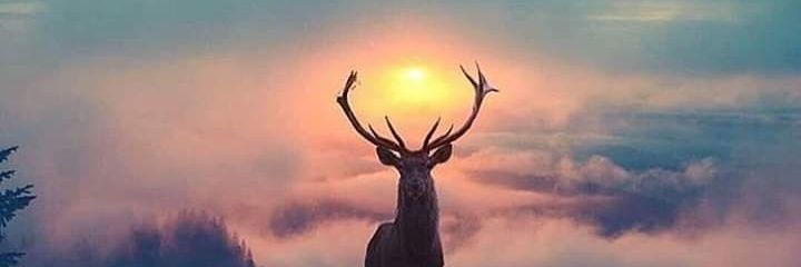 MrBuur's profile banner image