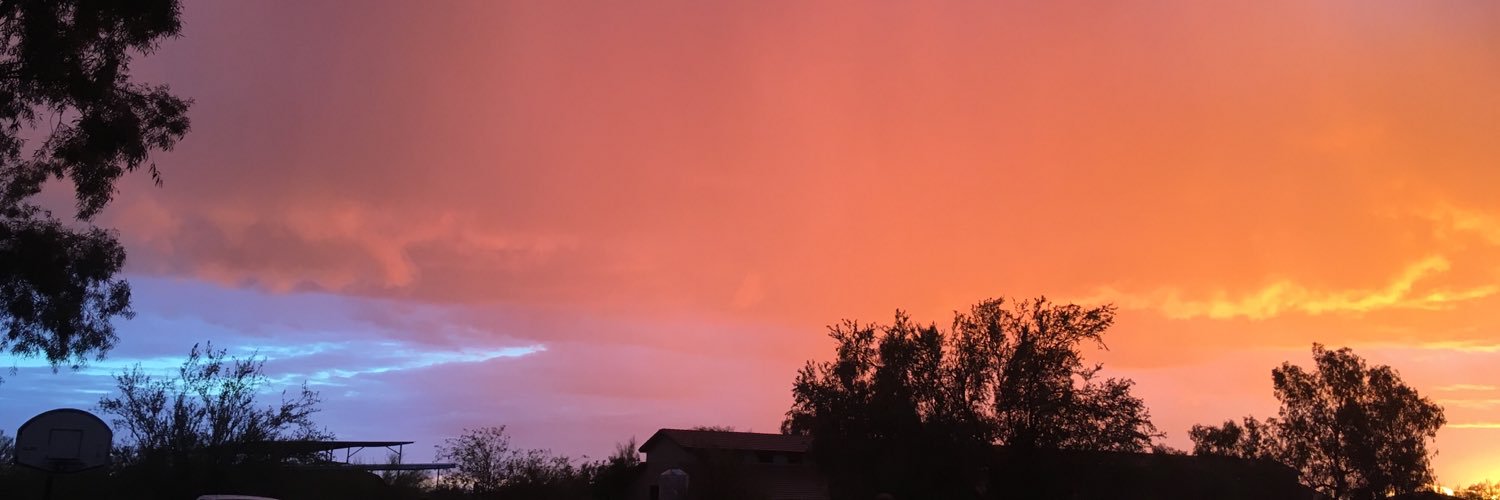AlanaSometimes's profile banner image