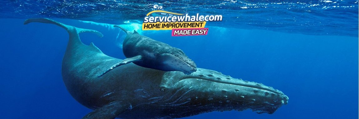 ServiceWhale's profile banner image