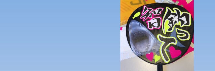 ermlav's profile banner image