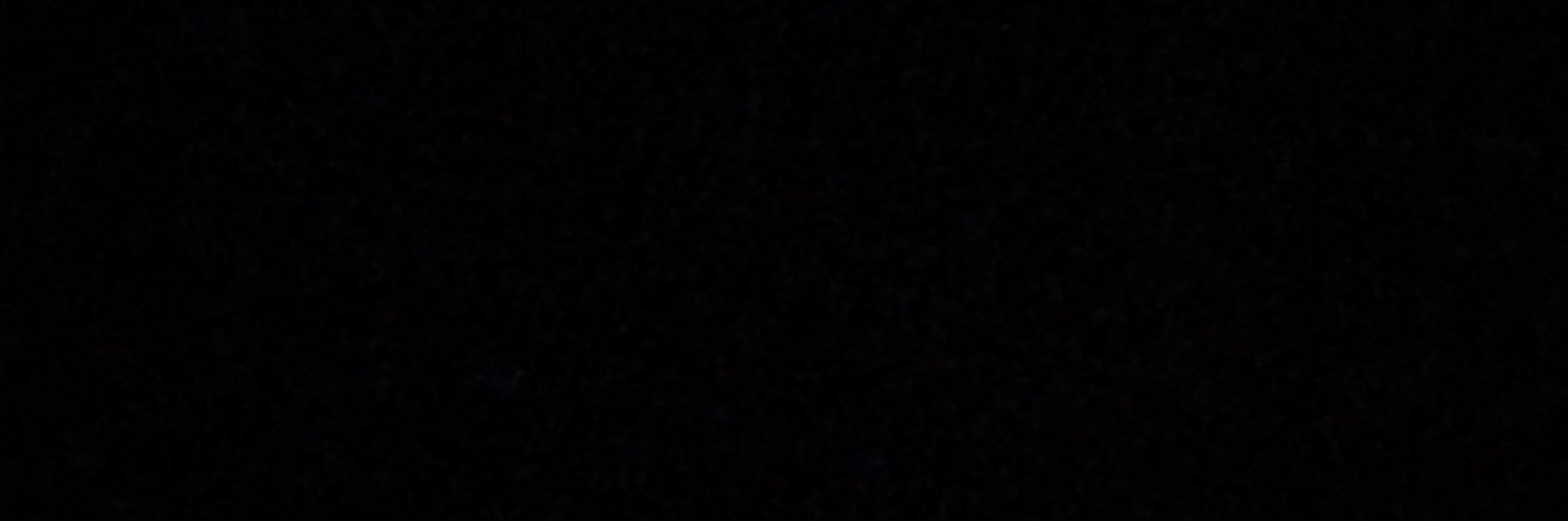 Allesha Coleman banner