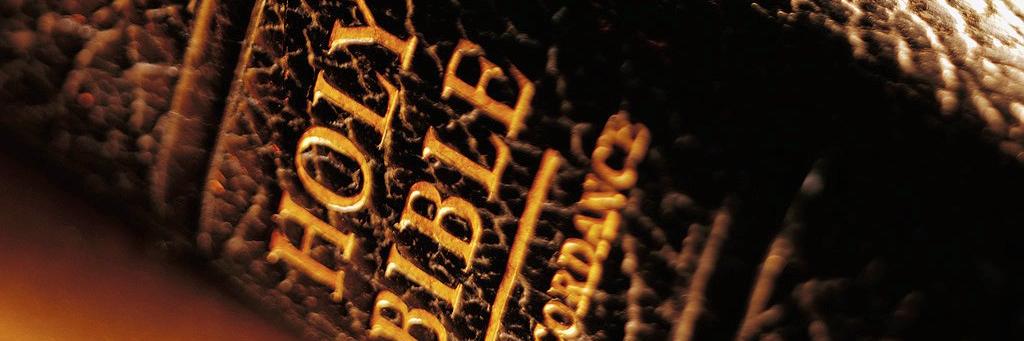 TheBibleScript's profile banner image