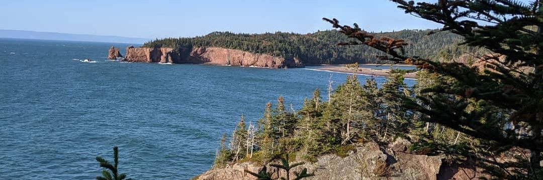 Patrick A. Horsman banner