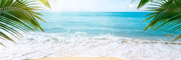 SelineNFT Profile Banner