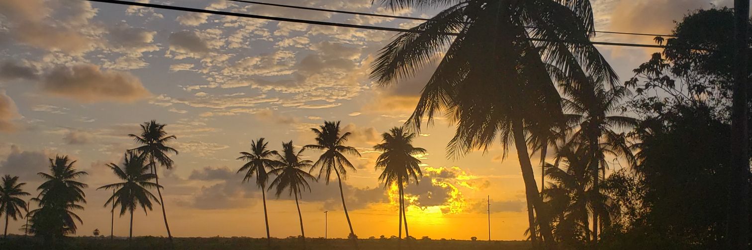s_xiii_'s profile banner image