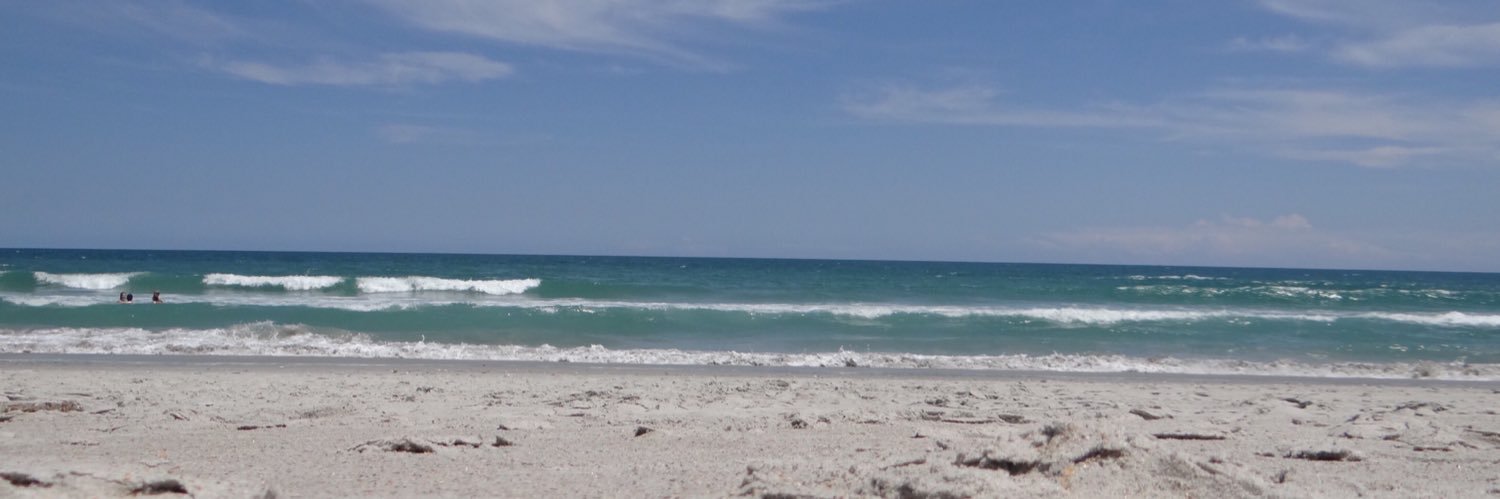 MaeveTheManatee's profile banner image