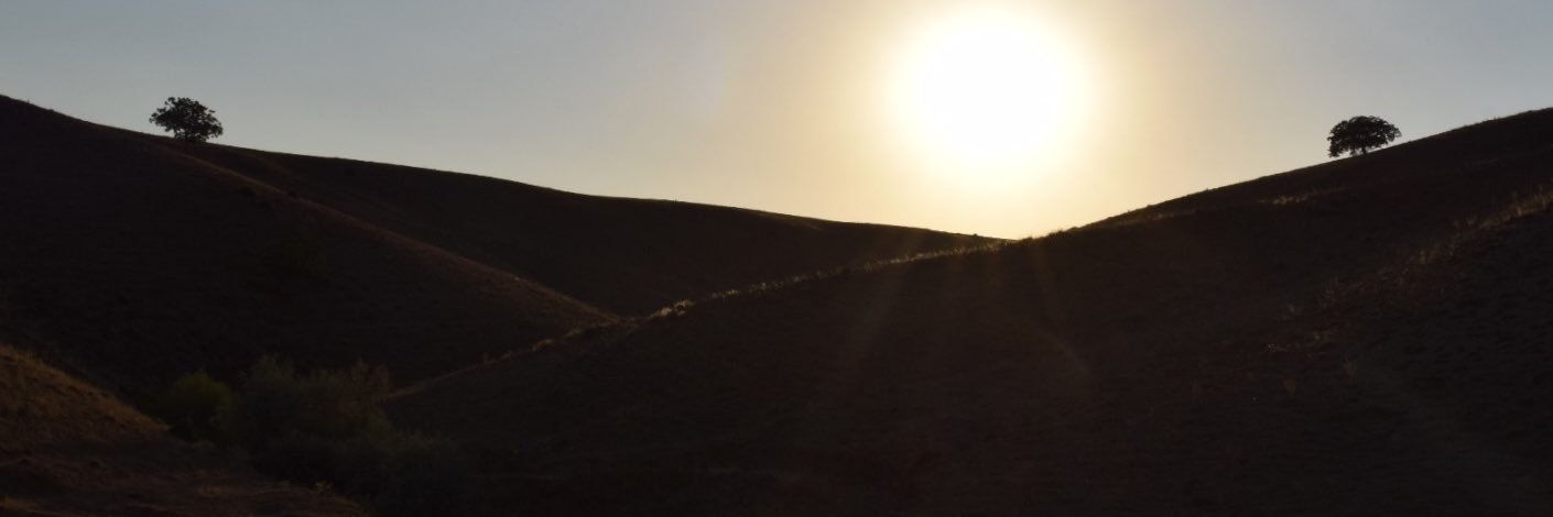 aydanalgul's profile banner image