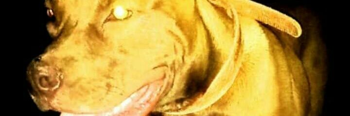 coulby15's profile banner image