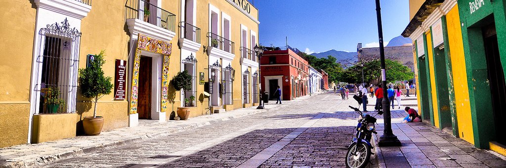 Somos Oaxaca banner