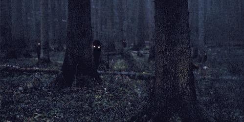 ParonormalLove's profile banner image