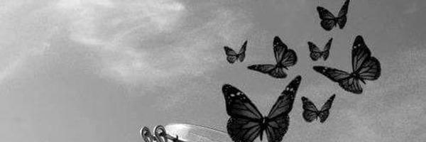 EsraaRedaa's profile banner image
