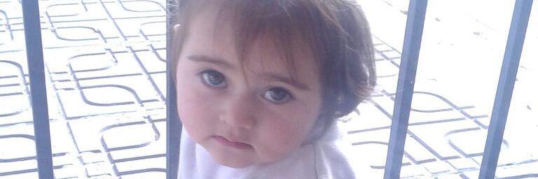 Pájaro 🐦 8 banner