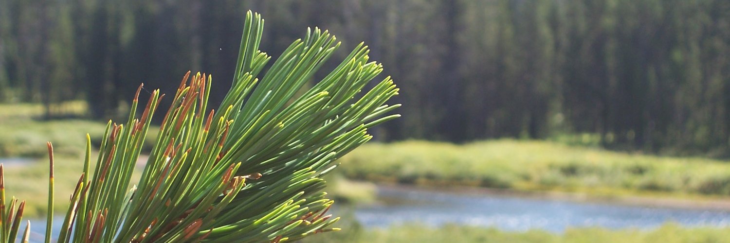embemk1986's profile banner image
