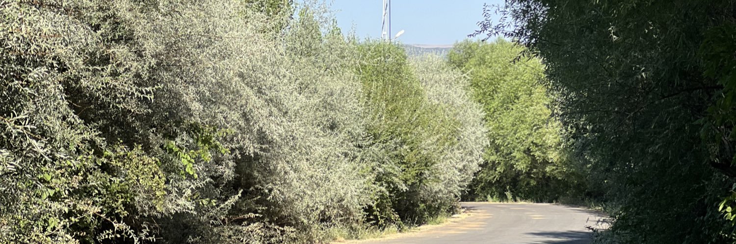 sevalsozeen's profile banner image