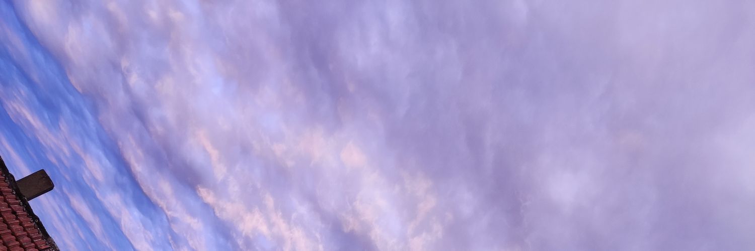 schnippus's profile banner image