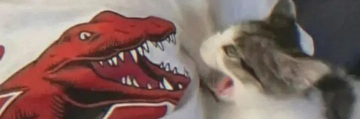 deconella's profile banner image