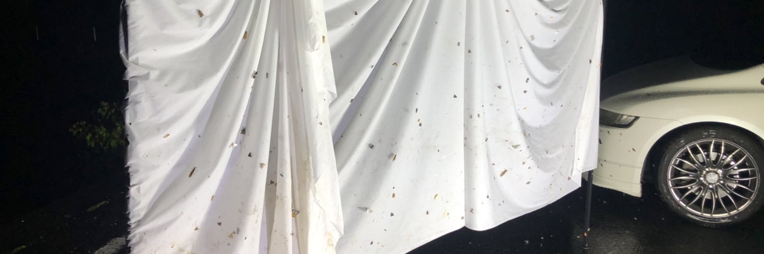ryu_ryutaros's profile banner image