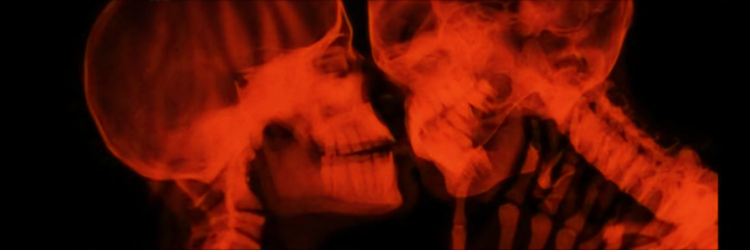SofiListello1's profile banner image