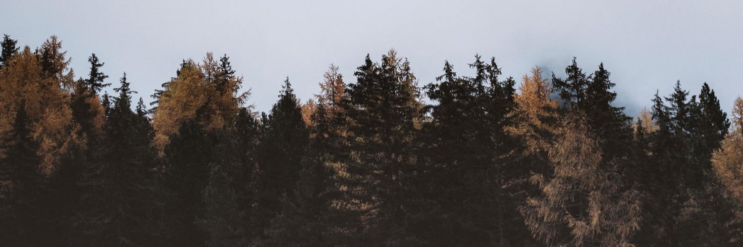 taurusm00n🌙 banner
